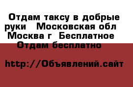 Отдам таксу в добрые руки - Московская обл., Москва г. Бесплатное » Отдам бесплатно   